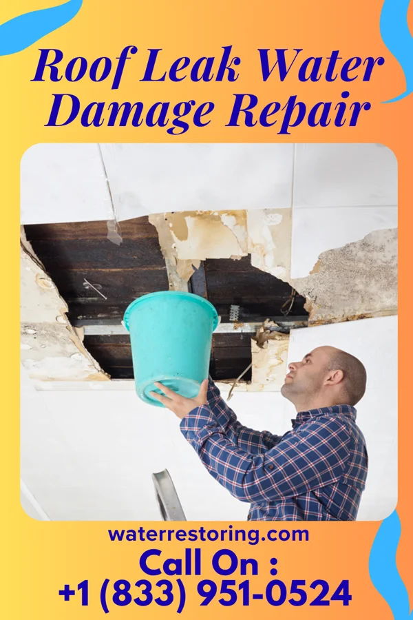 Roof Leak Water Damage Repair in Holley, FL